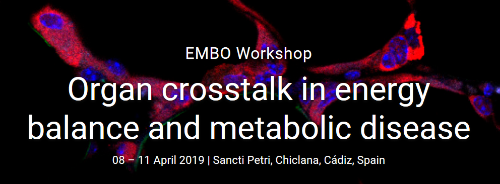  EMBO Workshop Organ crosstalk in energy balance and metabolic disease